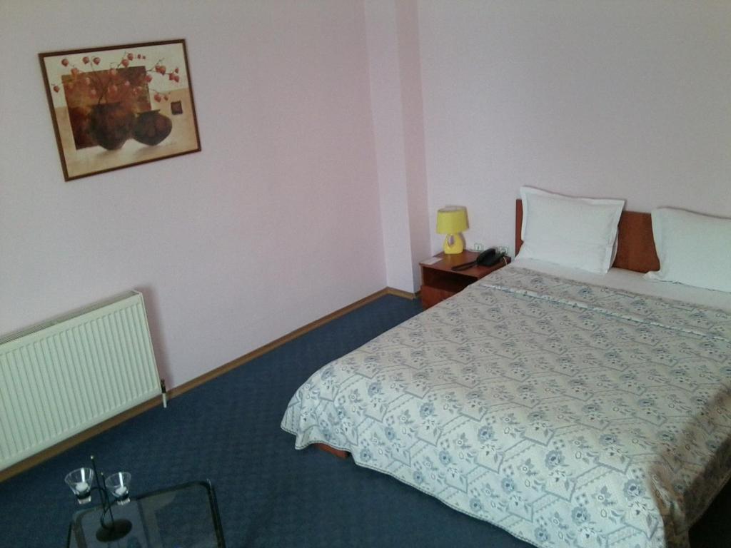 Hotel Adriatico Temesvár Kültér fotó